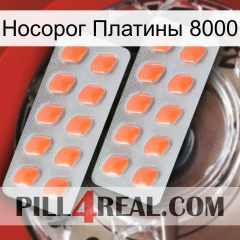 Носорог Платины 8000 27